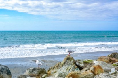 「知行國際」揭秘：澳洲移民入籍那些事兒，失敗都是有原因的