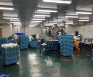 日本大阪 - 食品企業(yè)品質(zhì)管理 正社員