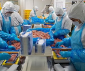 【特定食品】- 京都金槍魚加工